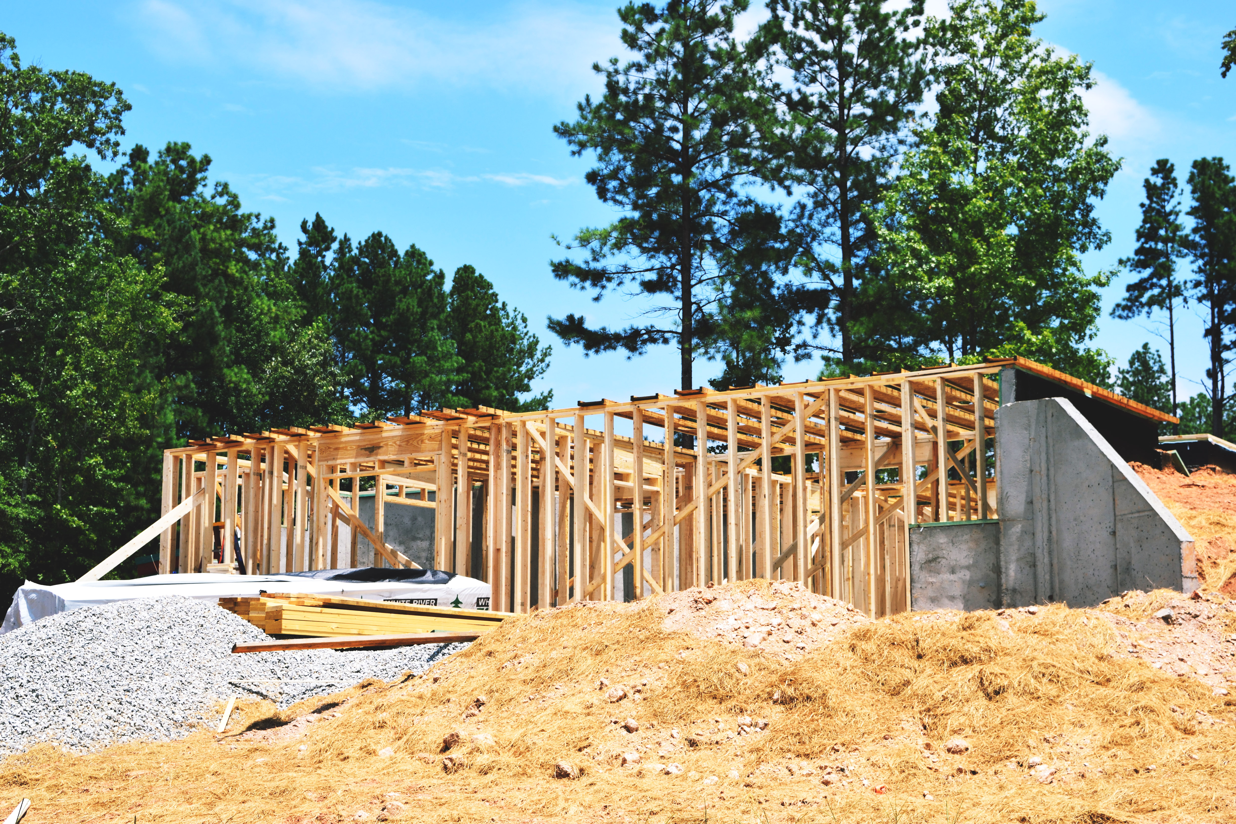 Environmental Policy